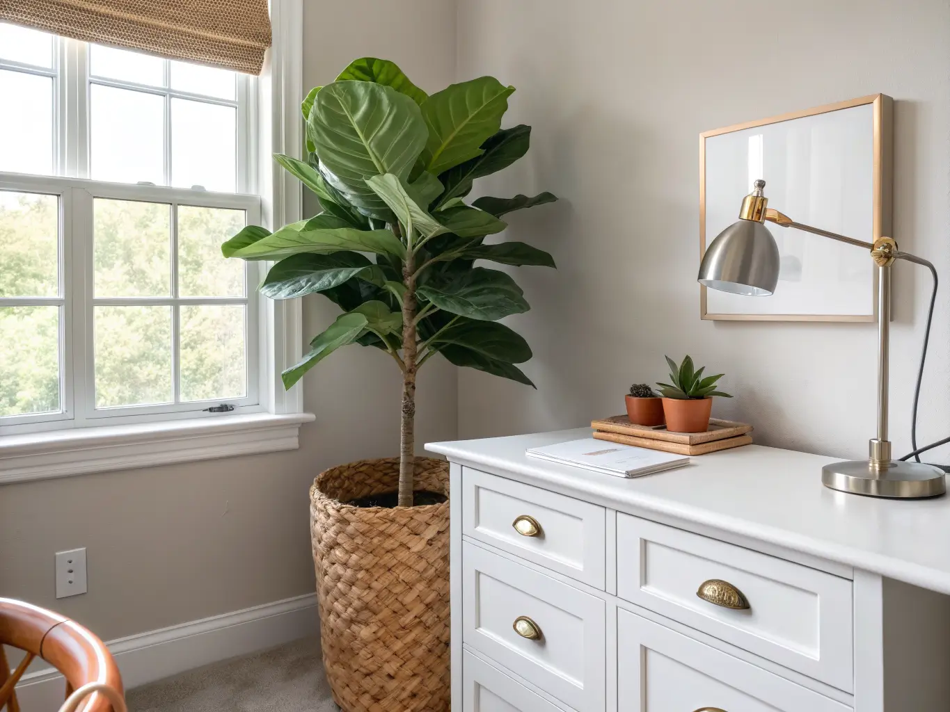 Low-angle photo of a fiddle-leaf fig in a terracotta pot on a woven basket by a window, beside warm white Murphy bed cabinetry and a greige wall, with a desk edge and brass lamp base visible.